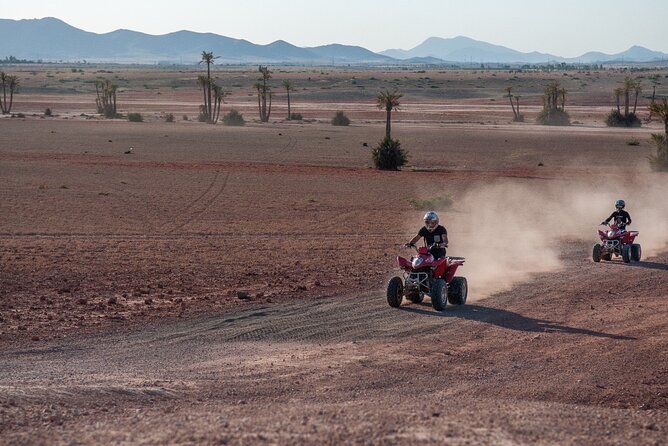 1/2 journée Quad Palmeraie Marrakech - Group Size and What It Means for Your Experience