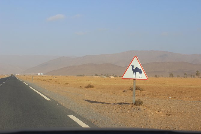 1 night in desert from Agadir - Guelmim: the Sahara gateway, caravan routes, and a tea break