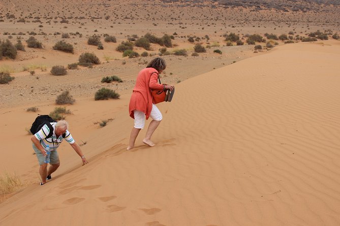 1 night in desert from Agadir - El Borj and the desert camp: mint tea, sunset dunes, and stargazing