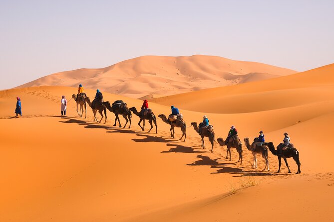 10D 9N Private Morocco Tour From Casablanca By Imperial Cities And South Desert - Day 4 in Fes el-Bali: medina lanes with a real guide