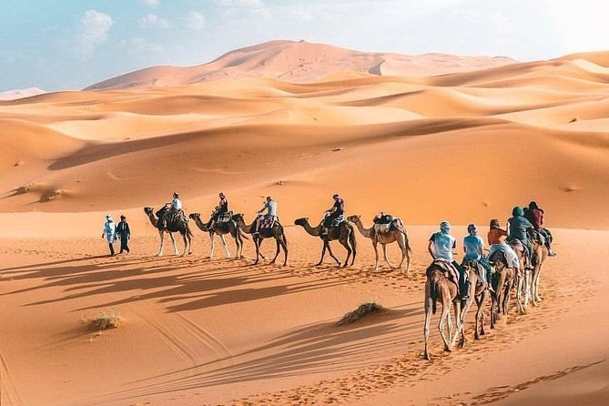 10D 9N Private Morocco Tour From Casablanca By Imperial Cities And South Desert - Day 5: Mid-Atlas to Ifran, cedar forests, and then the Merzouga dunes