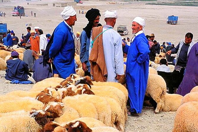 2 Day Desert Tour From Marrakech through the Atlas Mountains & Camel ride - Key takeaways before you go
