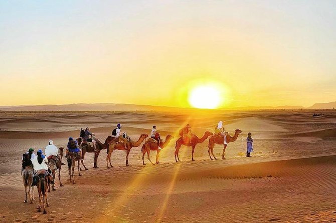 2 Days 1 Night Amazing Zagora Desert Tour From Marrakech - Logistics that can make or break your trip
