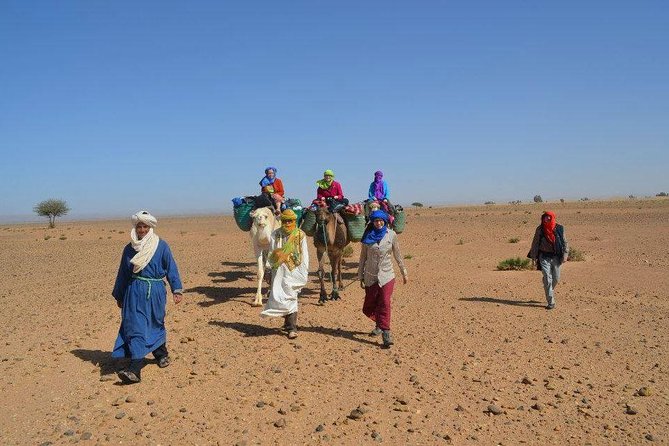 2 Days 1 Night To Zagora Desert From Marrakech - Jemaa el-Fnaa Morning Stop and the Climb Over Tizi N Tichka