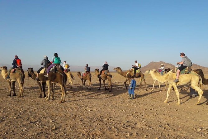 2 Days 1 Night To Zagora Desert From Marrakech - Meals and Comfort in a Desert Tent: What You Get, What to Bring