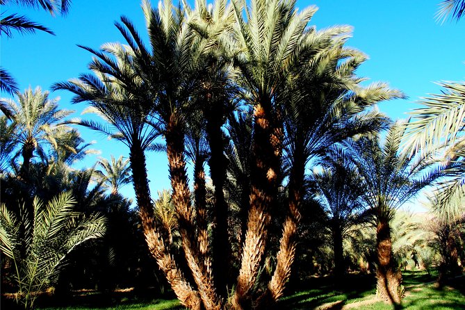 2 Days 1 Night To Zagora Desert From Marrakech - Price and Value at Around $98: What You’re Paying For