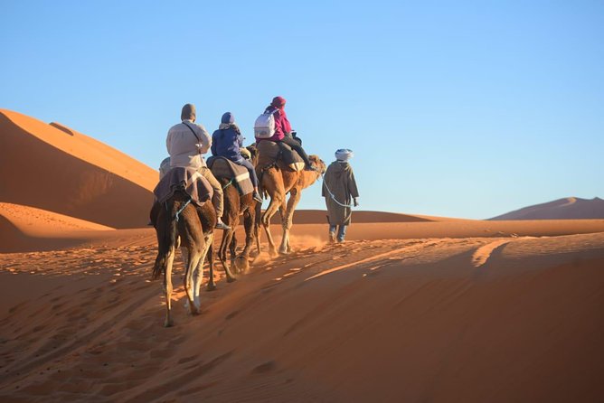 2 Days Fes Desert trip Overnight Erg chebbi End up Fes/Marrakech - Camel Sunset to Berber Stars: The Overnight Core