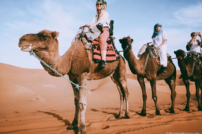2 days luxury desert trip [fes to fes or marakech] - Key Things to Know Before You Go