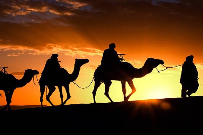 2 Nights in Luxury Camp and Camel Trekking in Merzouga Desert - Key highlights you will actually feel (not just read about)