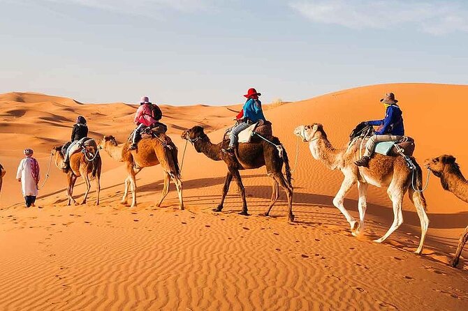 2Days Share Tour From Fes To Marrakech Or Fes Via Sahara & camel - Why this Fes to Marrakech desert route makes sense in 2 days