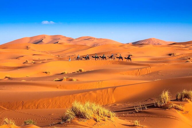3-Day Desert Tour: Marrakech to Fes via Merzouga - Key takeaways worth knowing