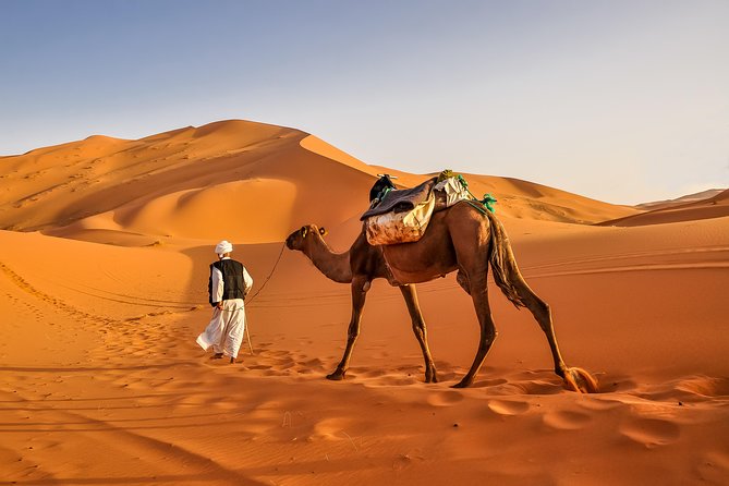 3-Day Desert Tour: Marrakech to Fes via Merzouga - Day 3: Sunrise on Erg Chebbi, Breakfast at Camp, Then Ziz Valley and Ifrane to Fez