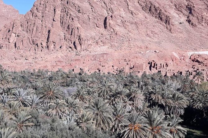 3-Day Desert Tour to Fez: Ouarzazate and Berber Village from Marrakech - Valley of Roses and Skoura palms: the stops that break up the driving grind