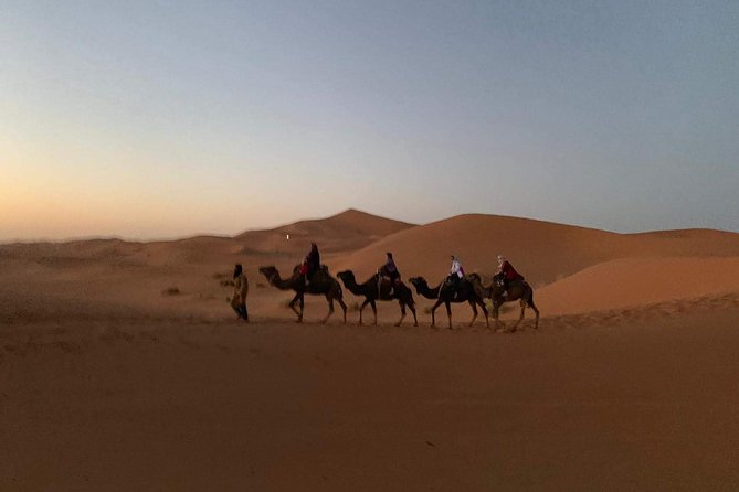 3-Day Desert Tour to Fez: Ouarzazate and Berber Village from Marrakech - Erfoud, Merzouga, Rissani: transitioning into the real Sahara