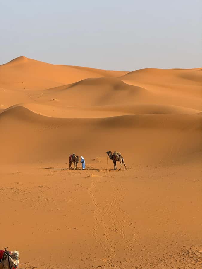 3-Day luxury Adventure: Marrakech to Merzouga incl.Quad/show - Day 1: Marrakech to Ait Ben Haddou, Skoura Palms, and the Dades Gorges Night