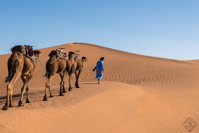 3 Day Luxury Tour: Sahara desert & luxury camp from Marrakech - Day 3 back to Marrakech: when the desert magic has to fit a timetable