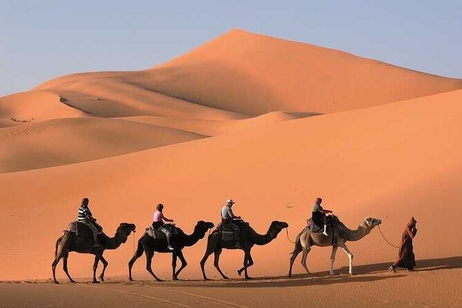 3-Day Marrakech to Merzouga Desert Tour: Camel Rides & Overnights - Day 2: Todra Gorge, Erfoud Fossils, and the Moment You Leave the Road for Erg Chebbi