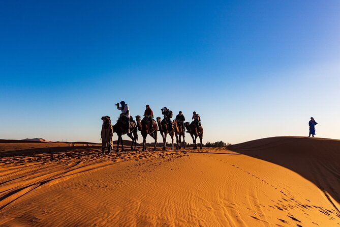 3-Day Marrakech to Merzouga Desert Tour: Camel Rides & Overnights - Day 3: Sunrise in the Dunes, Roses in Kelaat Mgouna, and Back to Marrakech