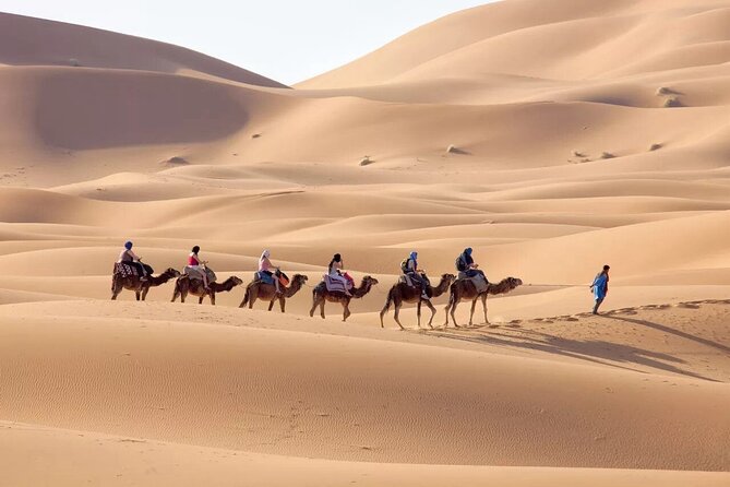 3-Day Sahara Adventure: Marrakech to Fez via Merzouga - Rose Valley to Tinghir: Coffee Stops, Road Feels, and a Real Overnight