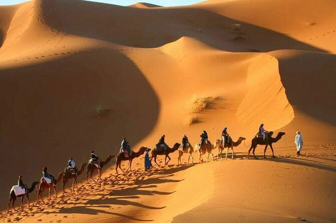 3-Day Sahara Adventure: Marrakech to Fez via Merzouga - Who This Tour Suits Best (And Who Might Want Something Else)