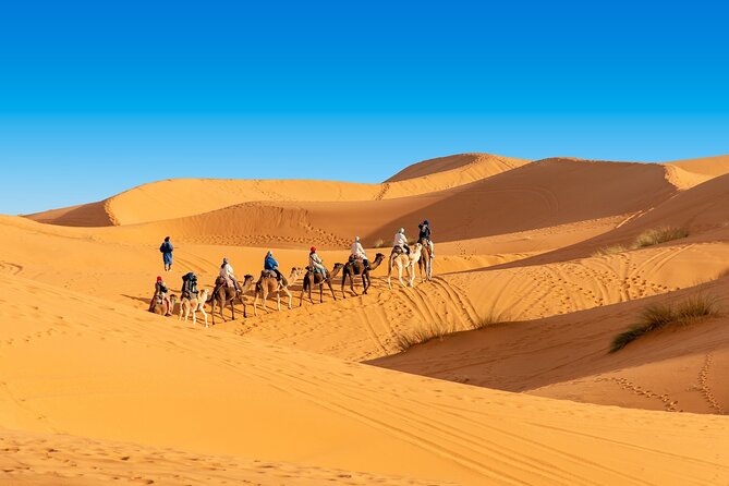 3 Day Tour from Marrakech to Merzouga with Camel Ride Included - Tizi n Tichka Viewpoint Stop: The Mountain Moment for Your Camera
