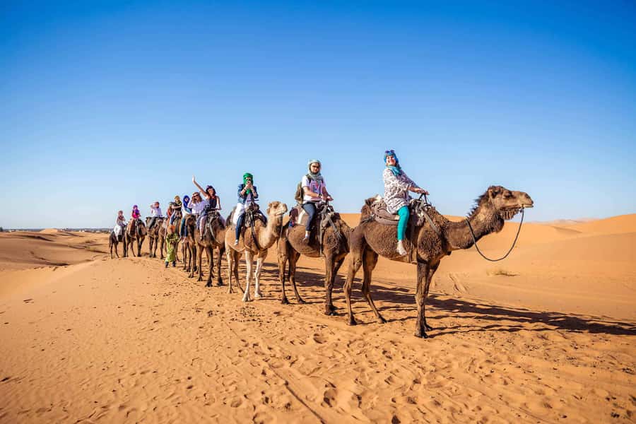 3 Days Desert Tour from Fez to Marrakech via Merzouga - The Camel Trek and Desert Camp Night at Merzouga