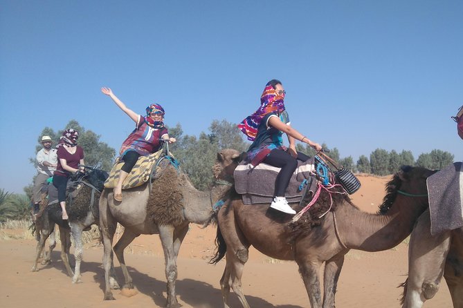 3 Days Desert tour from Fez to Marrakesh via Merzouga Erg chebbi - Comfort, group size, and how to plan around the road time