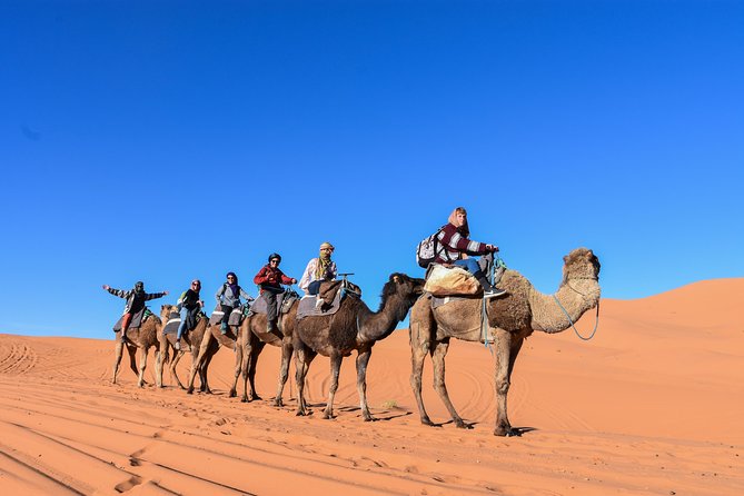 3 Days Desert tour from Fez to Marrakesh via Merzouga Erg chebbi - Should you book 3 Days Desert tour from Fez to Marrakesh via Merzouga?