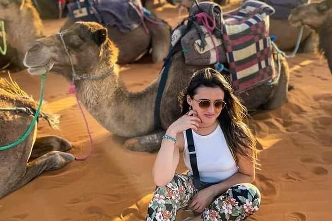 3 Days Desert Tour From Marrakech To Merzouga Dunes & Camel Trek - Day 3: sunrise dunes, camel back, and the long return toward Marrakech
