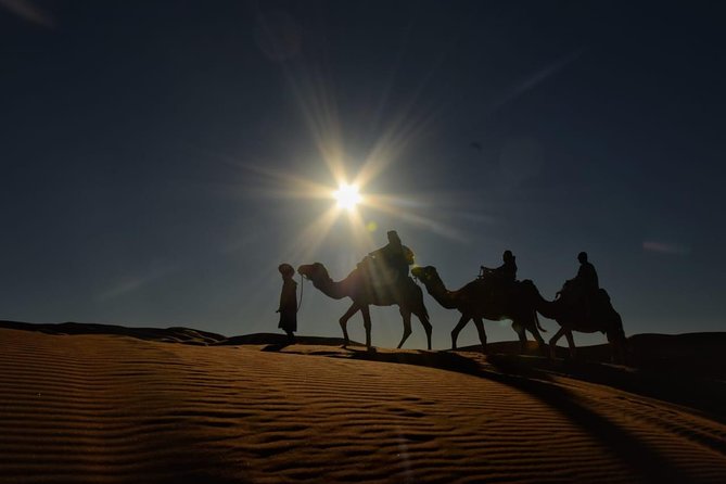 3-Days Desert Tour to Marrakech with Night in Erg Chebbi from Fes - The Middle Atlas stops, plus the monkey-photo reality check