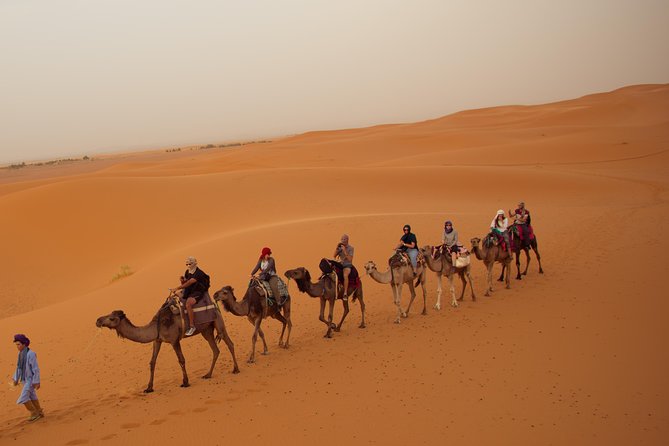3-Days Desert Tour to Marrakech with Night in Erg Chebbi from Fes - The High Atlas pass into Marrakech: the finish with big views