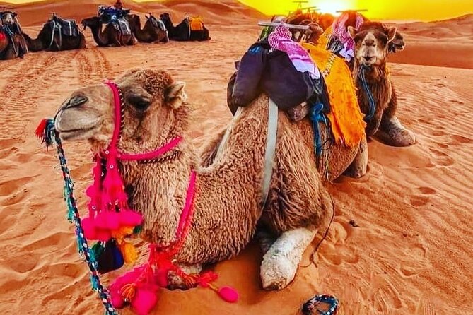 3 Days Group Tour from Marrakech to Merzouga Desert - Key things to know before you go