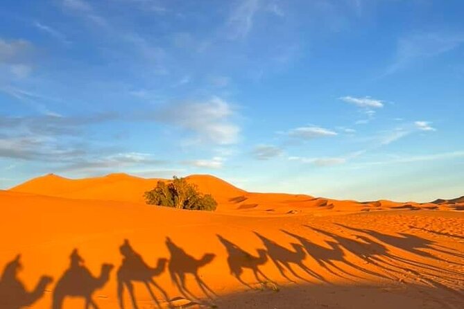 3 Days Group Tour from Marrakech to Merzouga Desert - Sunrise over the dunes, then camels back to Merzouga