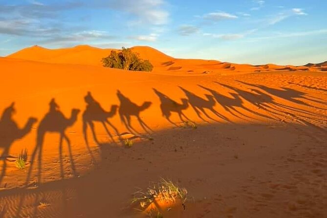 3 Days Group Tour from Marrakech to Merzouga Desert - Morning departure from Marrakech, then straight into the High Atlas
