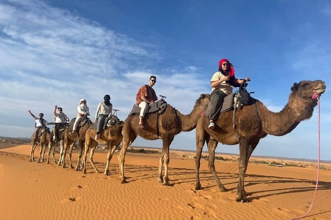 3 Days Luxury Desert Tour From Fes To Marrakech via Merzouga - Ifrane, Azrou Cedar Forest, and Midelt Lunch Break