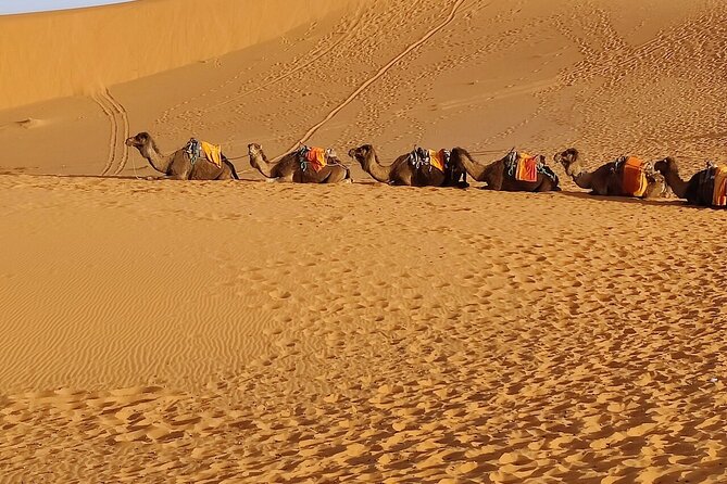 3 Days Luxury Desert Tour From Fes To Marrakech via Merzouga - Ziz Valley Stop: Palm Groves in the Middle of Nowhere