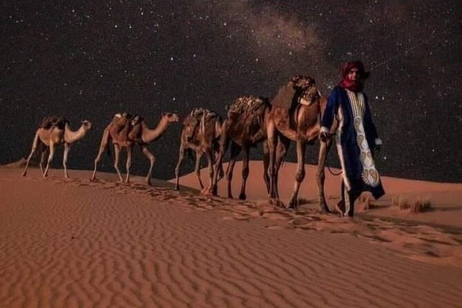 3 Days Luxury Desert Tour From Fes To Marrakech via Merzouga - Merzouga Dunes: Camel Sunset to a Berber Desert Camp