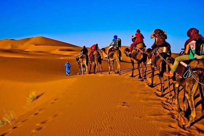 3 Days Merzouga Desert Shared Trip - Key highlights you will actually feel