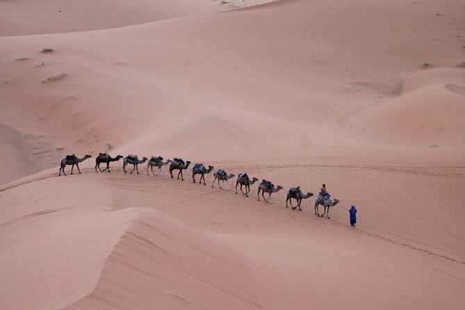 3-Days Morocco Desert Tour from Marrakech to Marzouga - Todra Canyon on foot, then the climb into Merzouga