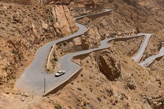 3-Days Morocco Desert Tour from Marrakech to Marzouga - Sunrise camels and the ride back via Rissani and the palm grove
