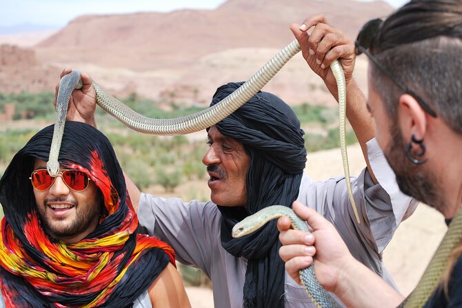 3 Days Private Tour to Merzouga Desert from Marrakech - Price and logistics: what $511.78 buys in a private desert setup