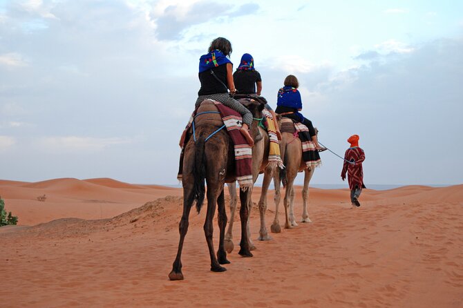 3 Days Private Tour to Merzouga Desert from Marrakech - Marrakech to Ait Ben Haddou, Skoura, and the Rose Valley mood shift