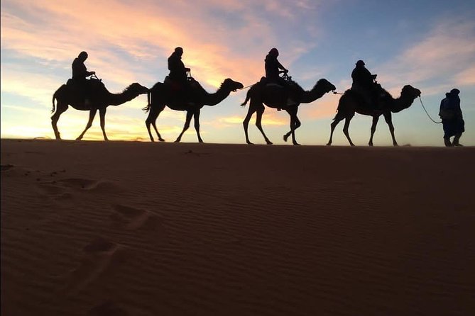 3 Days Shared Sahara Desert Tour From Marrakech - Ouarzazate kasbah stops and why they make the trip worth it