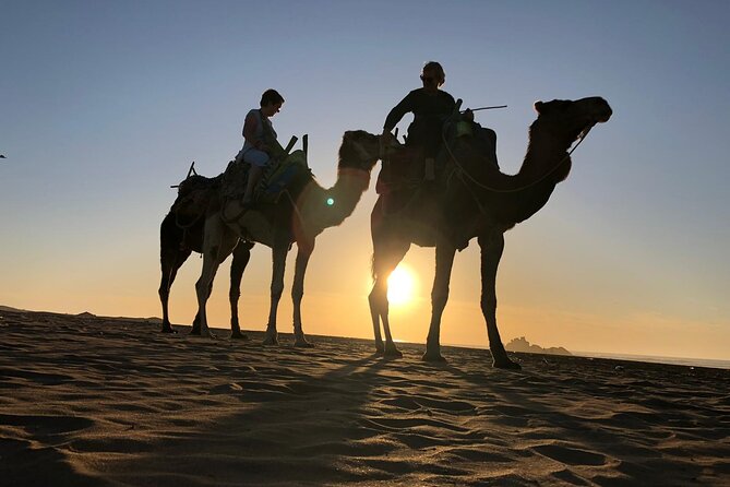 3-hour camel ride at sunset - The route vibe: beach walking, sea views, and old sights along the way