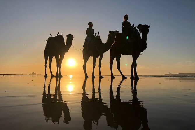 3-hour camel ride at sunset - What to wear and bring for a calm, comfortable sunset