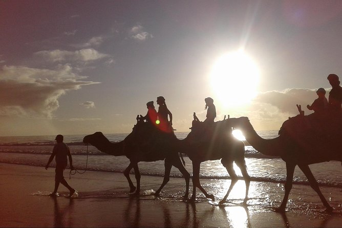 3-hour camel ride at sunset - Camel or horse at sunset: comfort, calm, and what the guides do