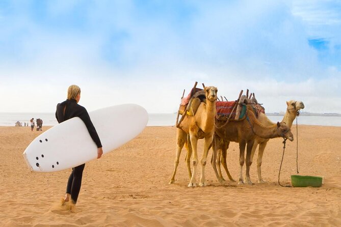 3 hours ride on camel at sunset - Essaouira Sunset on a Dromedary: Why This Ride Feels Different