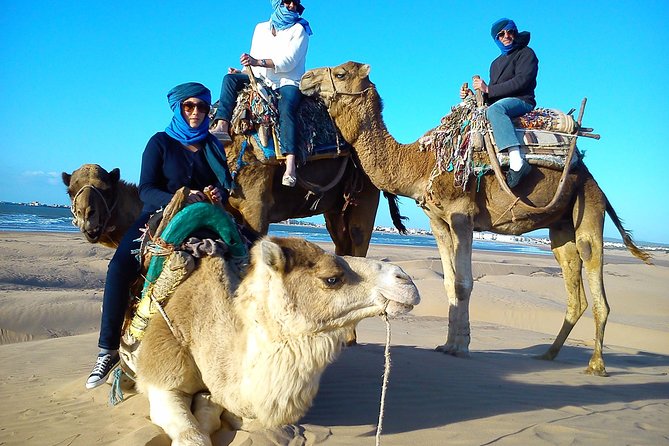 3 hours ride on camel at sunset - Your 3-Hour Route From Bab Sba to Cap Sim Dunes