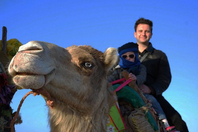 3 hours ride on camel at sunset - Time, Timing, and Weather: Getting the Best Golden Hour