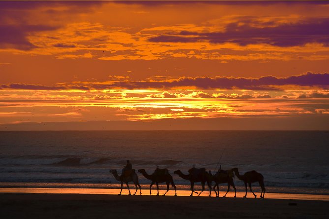 3 hours ride on camel at sunset - Price Value: Is $52.14 Worth It in Essaouira?